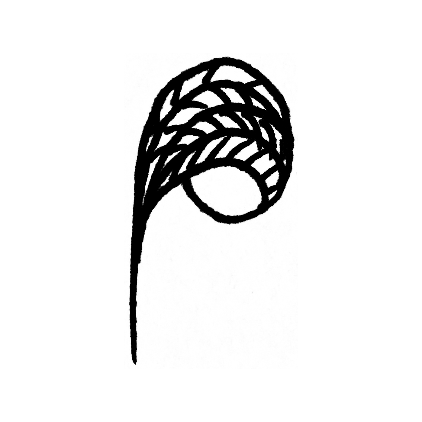 A sketch of the letter P made out of a feather.