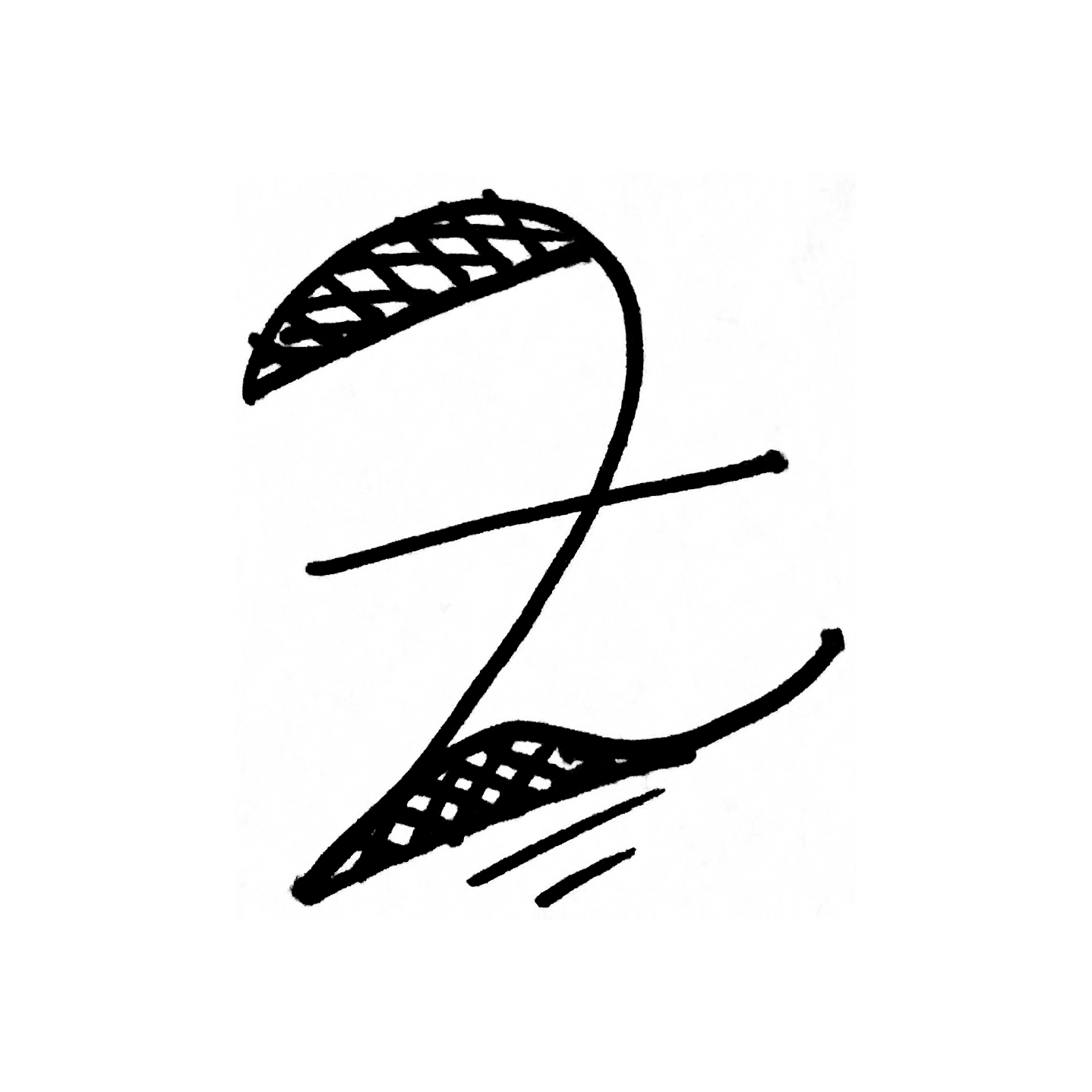 A sketch of the letter Z in cursive.