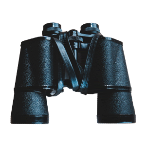 A pair of binoculars.